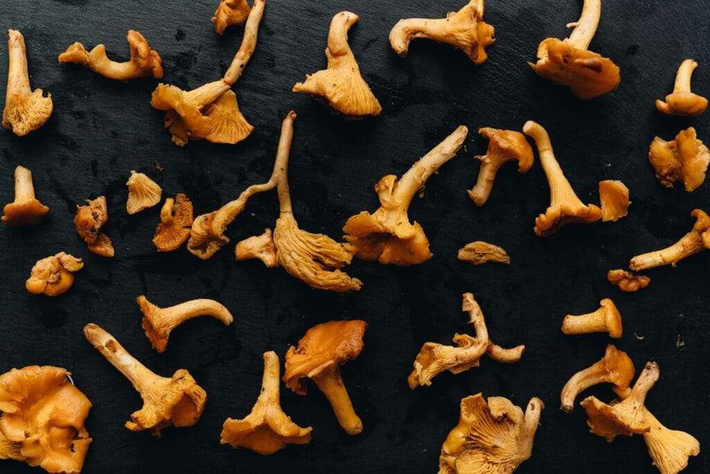 Mushrooms Nutrition Facts and Macros Chart