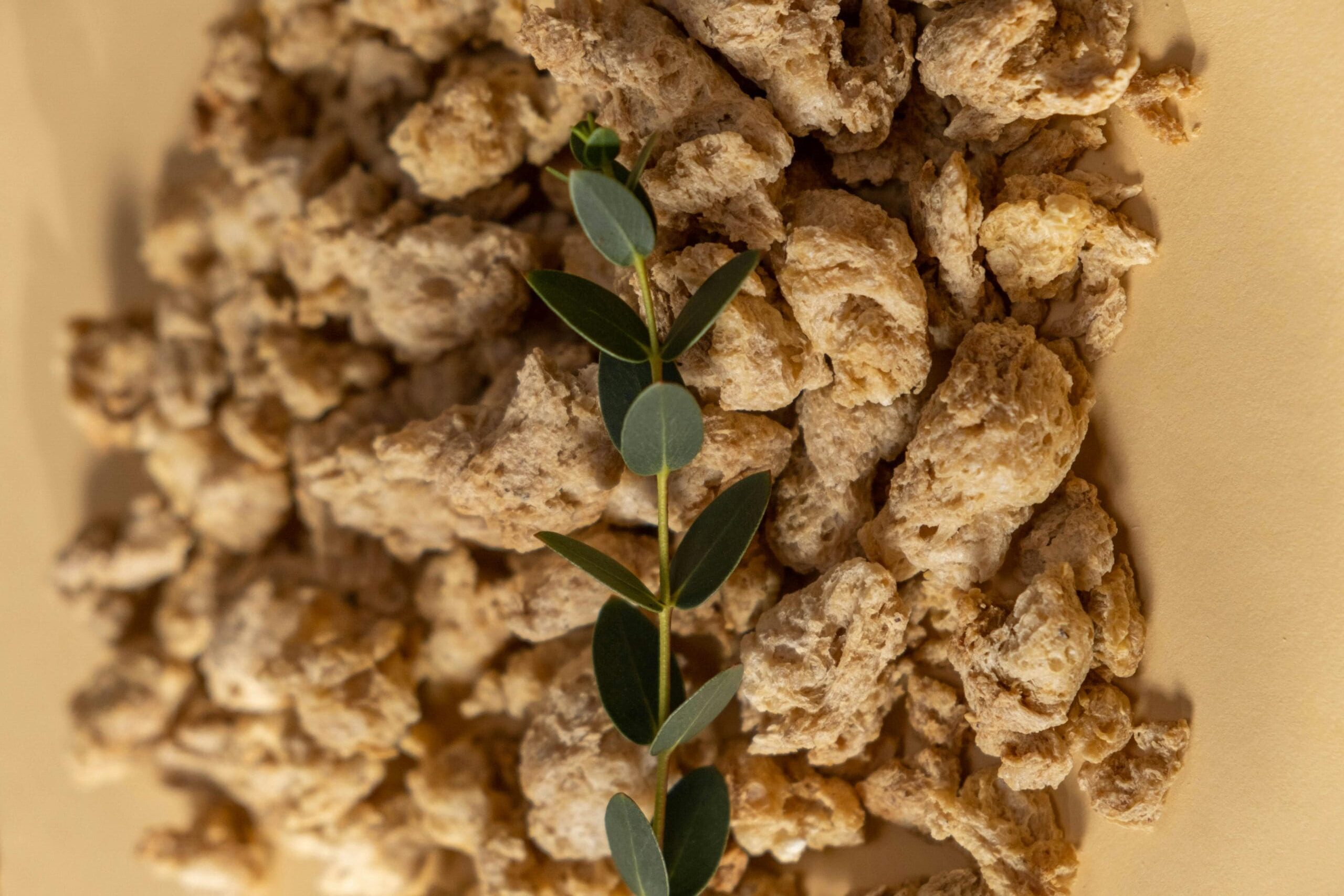 Pile of dehydrated soy chunks with a green leafy branch, highlighting healthy food alternatives.