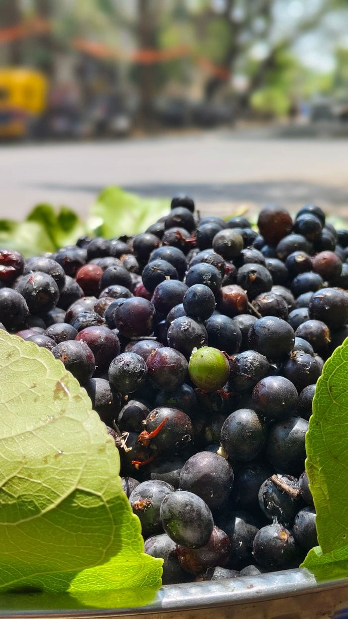 Vivid close-up view of fresh jamun fruits on green leaves outdoors, perfect for summer themes.