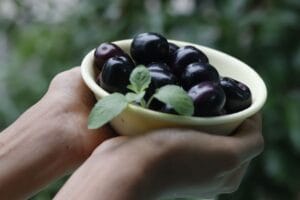 Jamun Benefits & Nutrition: What’s Real, What’s Not