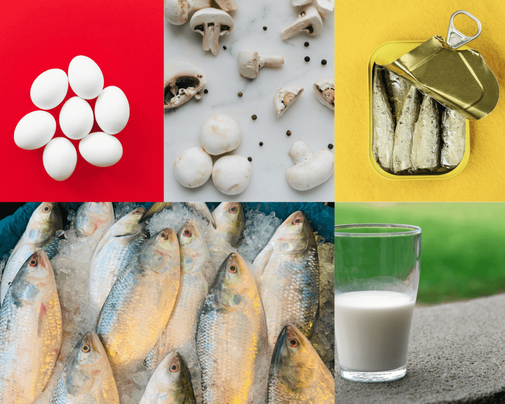 High Vitamin D foods: Hilsa, sardine tin, mushrooms, eggs, fortified milk
