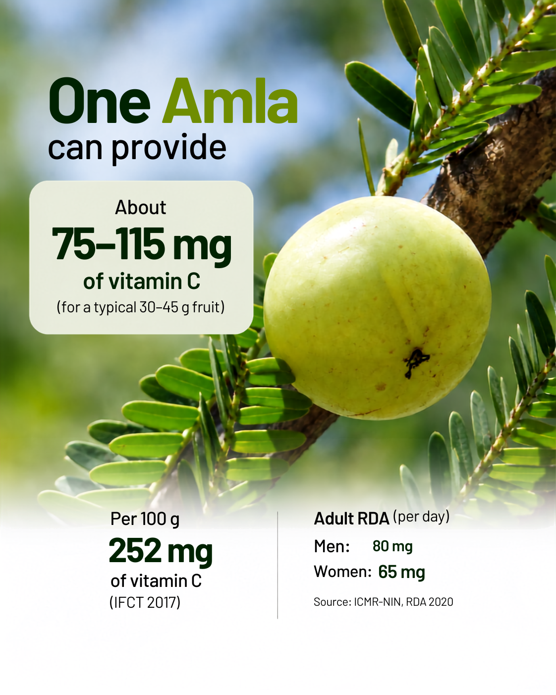 How Much Vitamin C Is in 1 Amla? (mg & RDA)