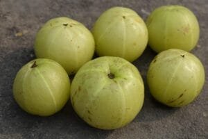 How Many Amla Per Day? Evidence-Based Daily Intake Guide