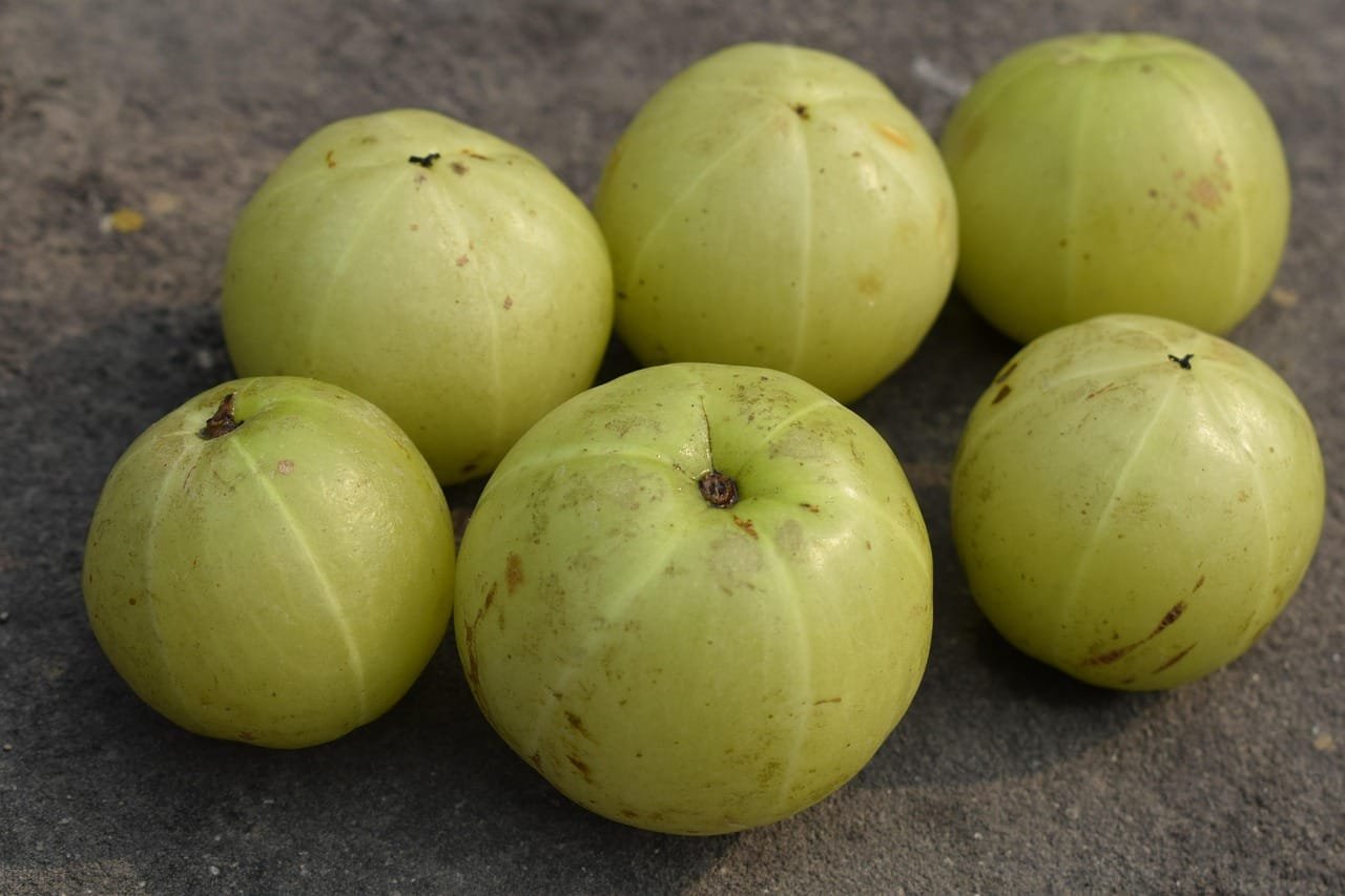 indian gooseberry, amla, fruit, food, produce, emblic, healthy, vitamins, delicious, sweet, nutrition, tasty, organic, harvest, ripe, indian gooseberry, indian gooseberry, amla, amla, amla, amla, amla, how many amla per day