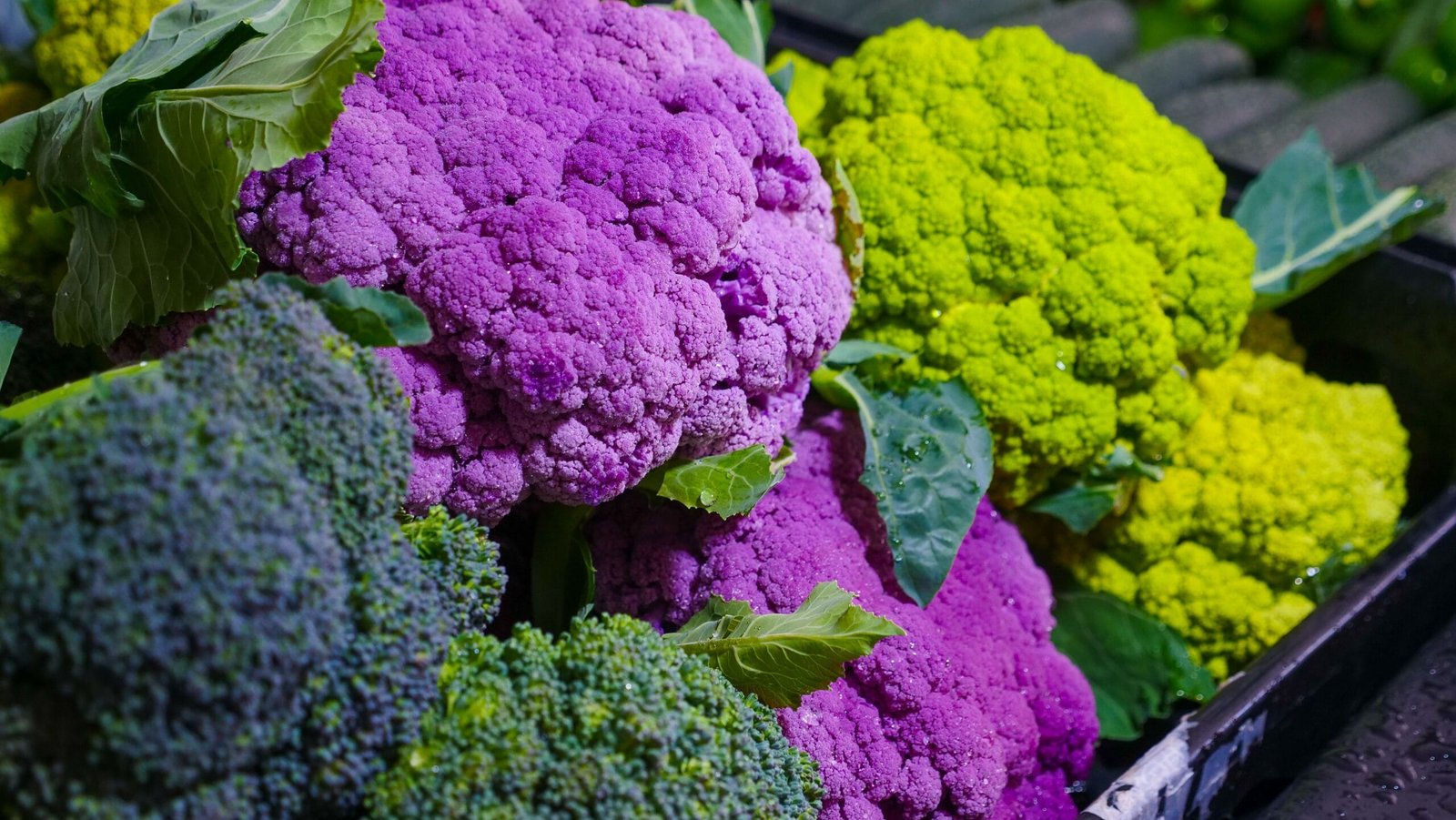 Types of broccoli available in India — green Calabrese, purple, Romanesco, and broccolini