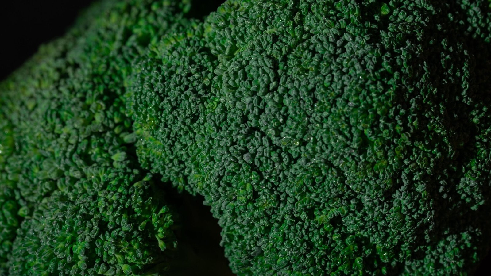 Raw broccoli florets — dietary fibre and prebiotic content for gut health